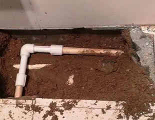 桦南测漏水哪家好