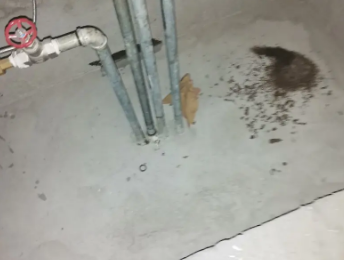 桦南卫生间测漏水价格明细