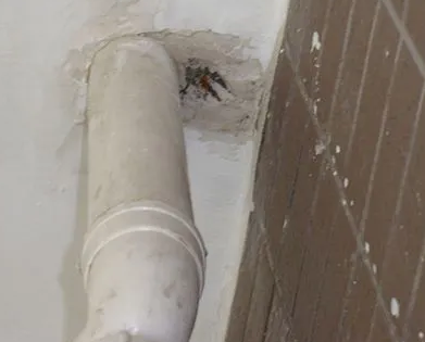 桦南漏水检测哪家好